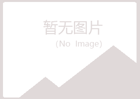 铜官山区千城建设有限公司